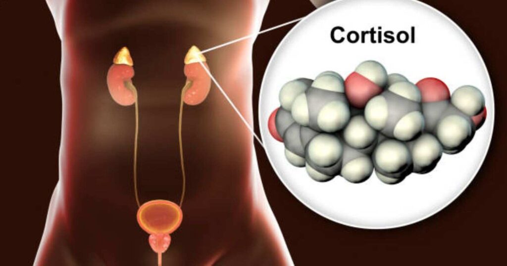 how to check cortisol levels